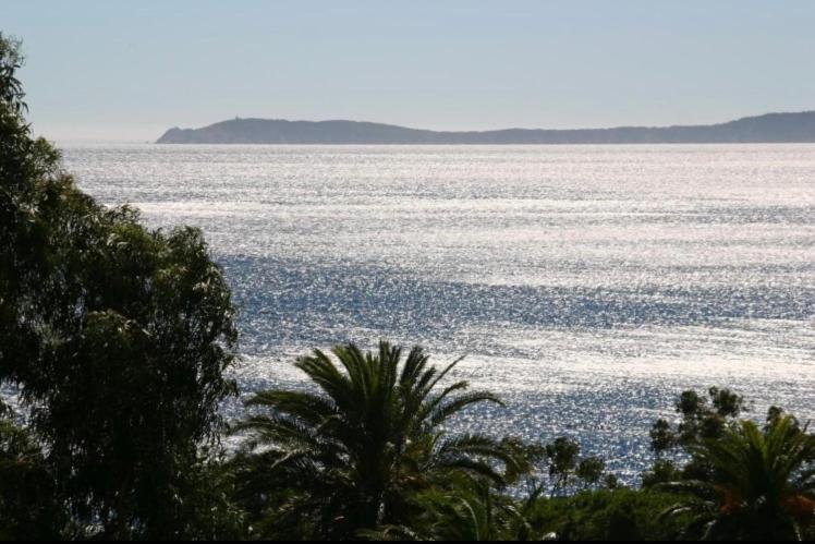 Residence Le Paradou Le Le Rayol-Canadel-sur-Mer Eksteriør billede